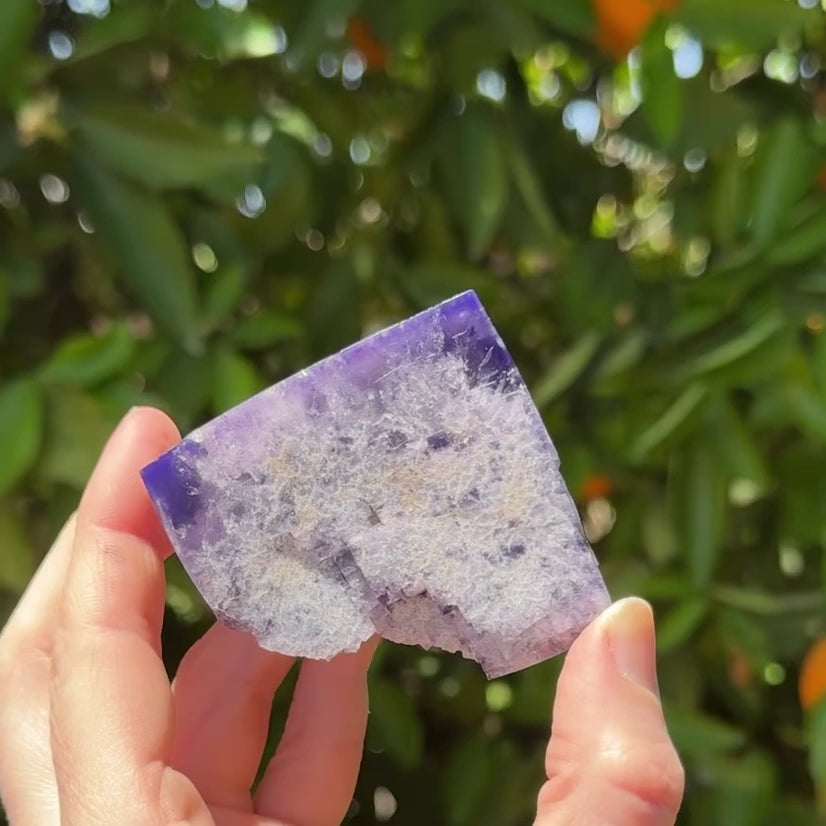 The fluorite specimen held up in sunlight, being turned and rotated to show different angles. The specimen is narrow, the back flat and rough. The edge between the two largest faces is curved.