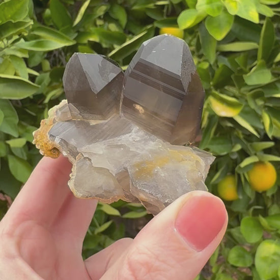 Short clip of the specimen in indirect sunlight, turning and tilting it to show to light traveling through the smoky quartz, inclusions inside reflecting, and the striations reflecting on the surface.