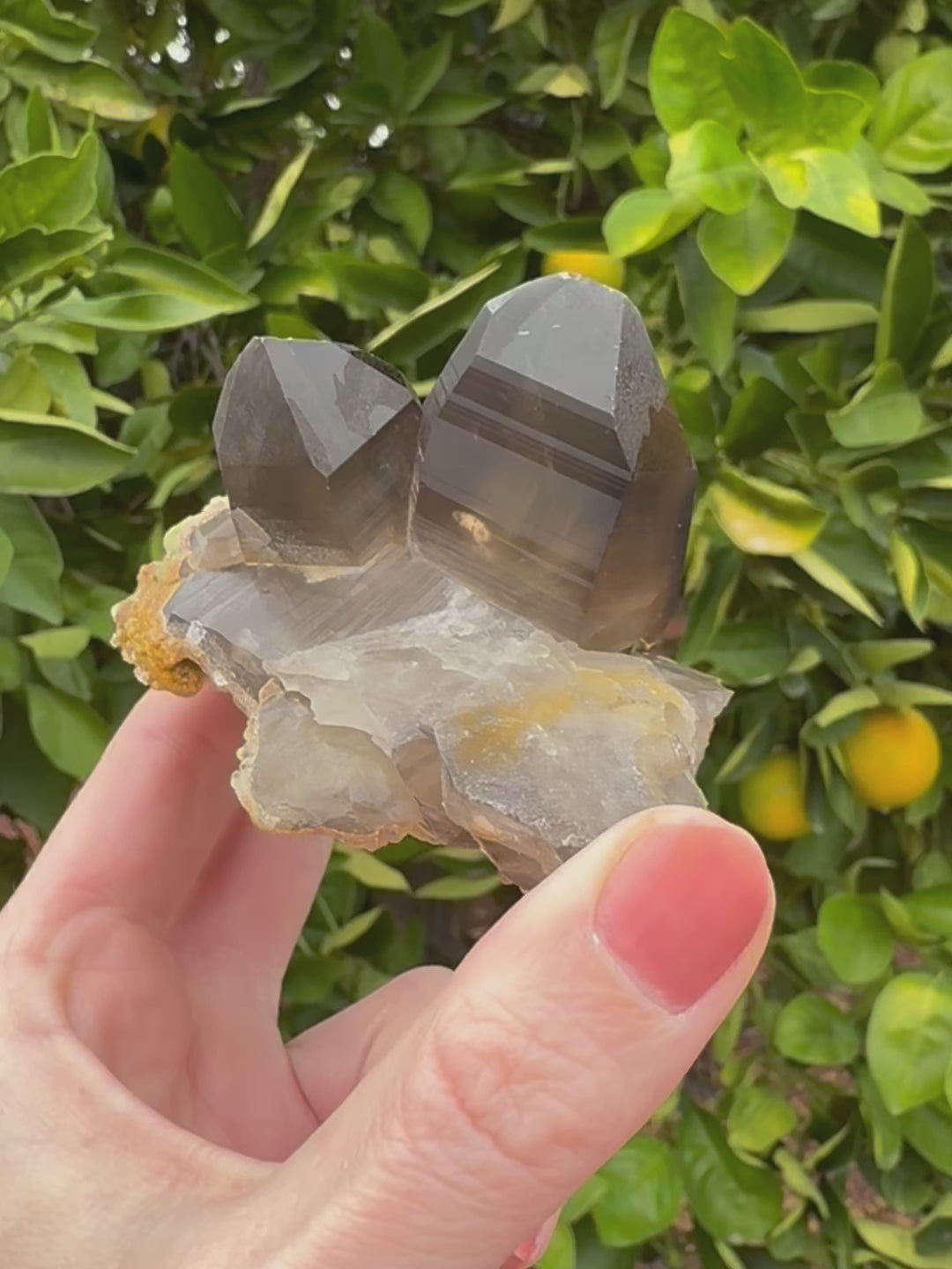 Short clip of the specimen in indirect sunlight, turning and tilting it to show to light traveling through the smoky quartz, inclusions inside reflecting, and the striations reflecting on the surface.