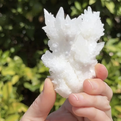 Aragonite stalactite "cave calcite," Santa Eulalia (medium)