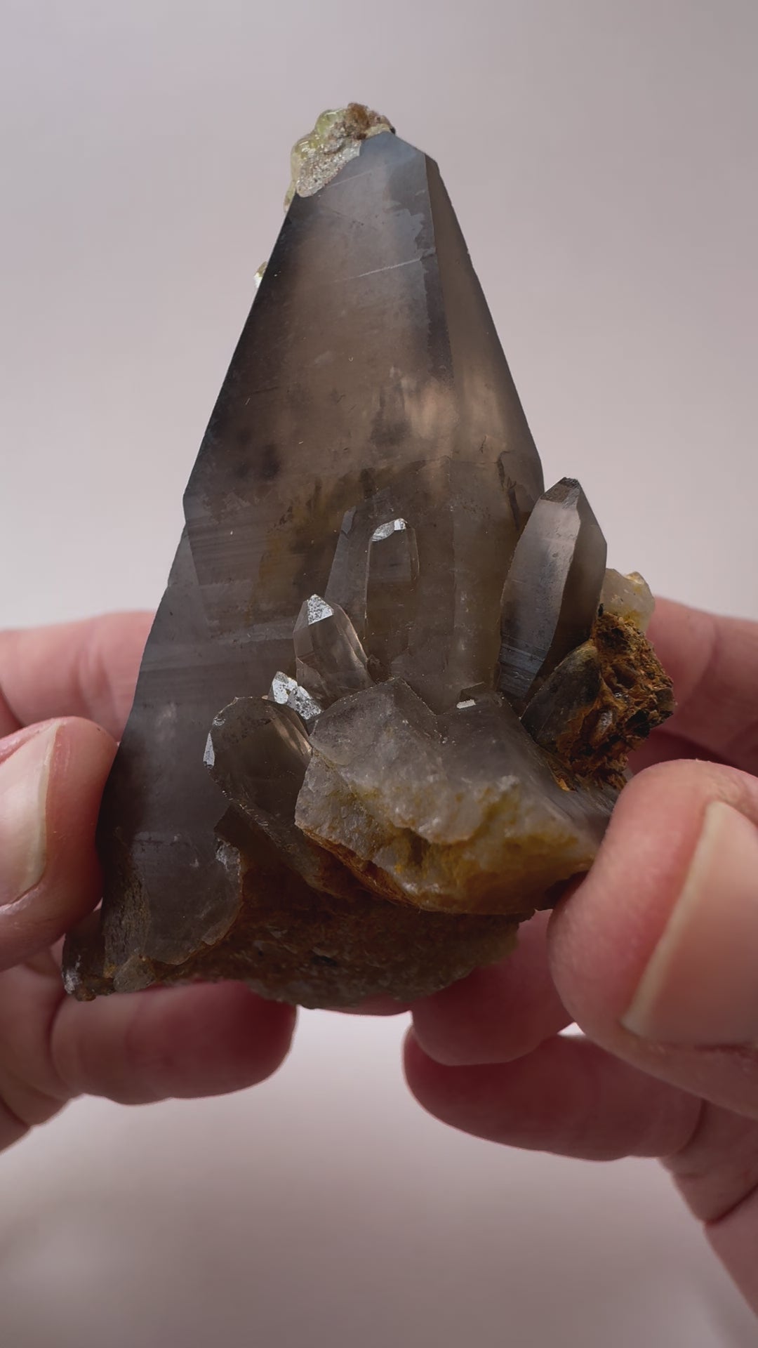 Short clip detailing the cluster of crystals at the base of the specimen, tilting it in the light to show details. The main point has good clarity, show dark spots and wispy inclusions when back-lit