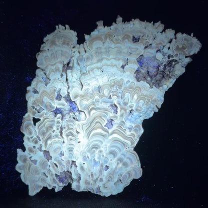 Aragonite cave formation, polished slice (large)
