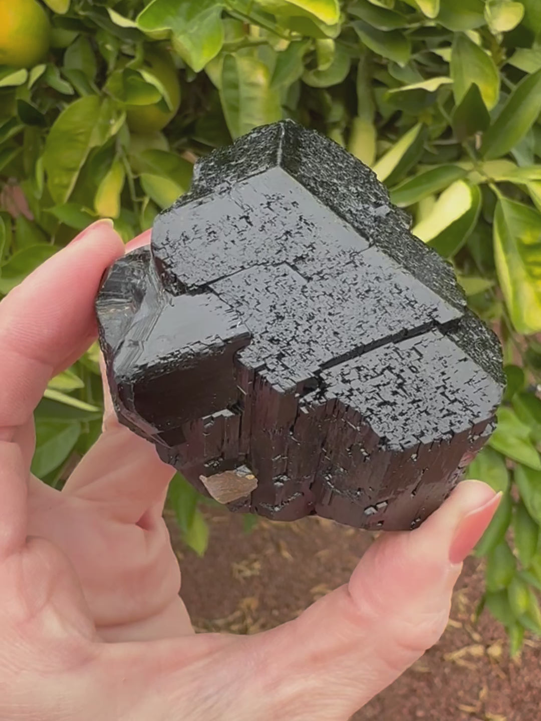 Short clip of the specimen being turned and tilted in indirect sunlight, with the intricate surface details and striations reflecting with excellent luster. Close detail views show a slightly imperfect almost dusty appearance.