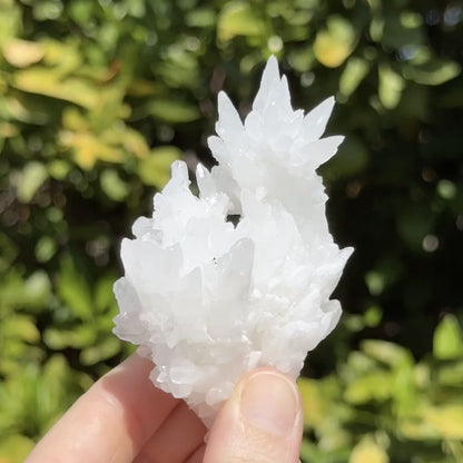 Aragonite stalactite "cave calcite," Santa Eulalia (medium)
