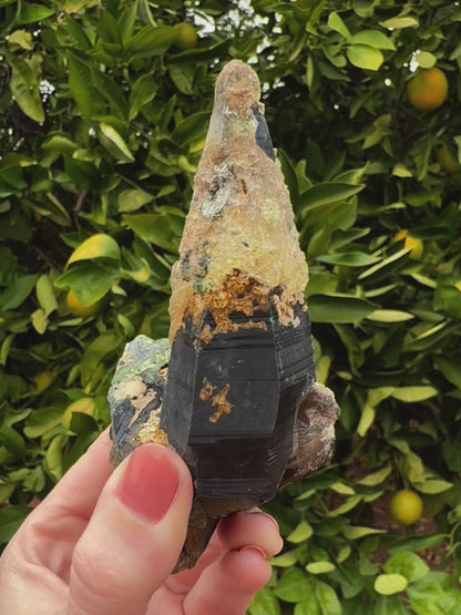 Short clip of the specimen in indirect sunlight, being turned and tilted to show all angles and reflect light off crystals, showing the smoky quartz has good striations. The hyalite has good daylight fluorescence, glowing a light yellow-green.