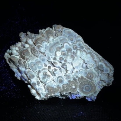 Aragonite cave formation, polished slice (large)