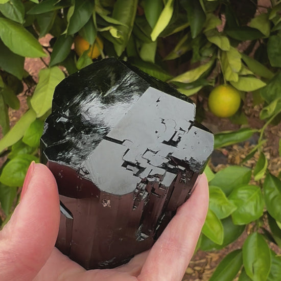 Short clip of the specimen being turned and tilted in indirect sunlight, showing its high luster. Reflections emphasize the crystal form, and when detail is shown, the surface has light zig-zag etching.