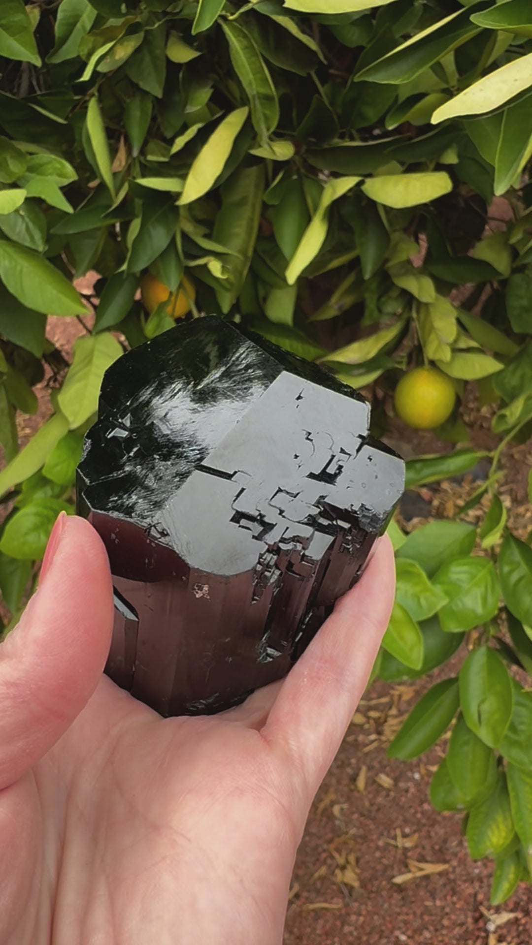 Short clip of the specimen being turned and tilted in indirect sunlight, showing its high luster. Reflections emphasize the crystal form, and when detail is shown, the surface has light zig-zag etching.