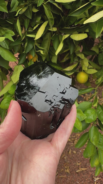 Short clip of the specimen being turned and tilted in indirect sunlight, showing its high luster. Reflections emphasize the crystal form, and when detail is shown, the surface has light zig-zag etching.