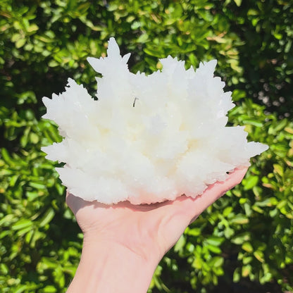 Aragonite stalactite "cave calcite," Santa Eulalia (cabinet piece)