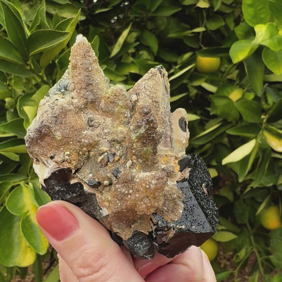 Short clip of the specimen being tilted and rotated in indirect sunlight, showing the faces of the crystals. The hyalite coating doesn't have much daylight fluorescence. The specimen is relatively small scale, the main schorl crystal about the scale of an apricot.