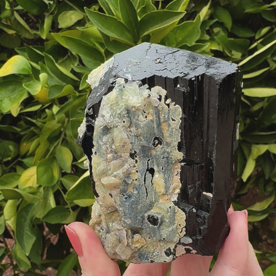 Short clip of the specimen in indirect sunlight, rotating and tilting the piece to show surface details. The schorl has excellent luster, and good striations creating zig-zagged edges on two of the three sides. The hyalite does not have any daylight fluorescence apparent.