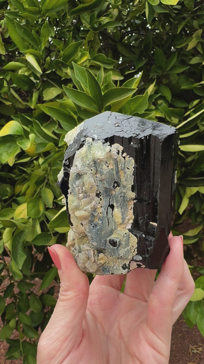 Short clip of the specimen in indirect sunlight, rotating and tilting the piece to show surface details. The schorl has excellent luster, and good striations creating zig-zagged edges on two of the three sides. The hyalite does not have any daylight fluorescence apparent.