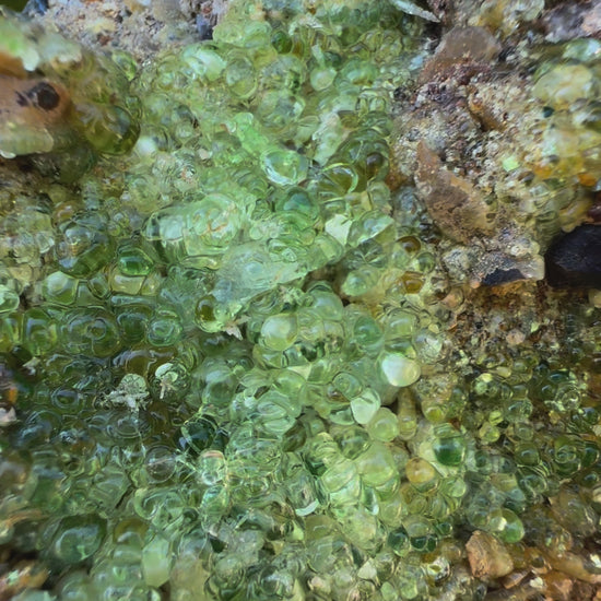 The specimen glowing a light yellow-green in indirect sunlight, tilting the piece in different directions to demonstrate the clarity and sparkle of of the crystals. Some spheres have a white snowball-like interior.