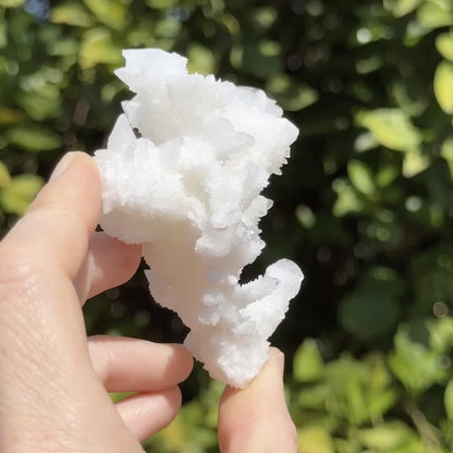 Aragonite stalactite "cave calcite," Santa Eulalia (medium)