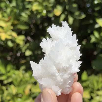 Aragonite stalactite "cave calcite," Santa Eulalia (medium)