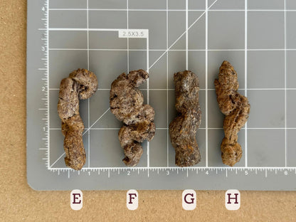 Scale image of options E through H on a measuring mat. The pieces are all about the same length, a little over two inches