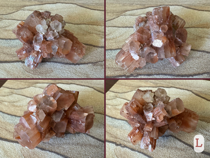 Option L, four views of a cluster with one large barrel crystal through it. The aragonite is a red brown color, deeper at the center fading to lighter at the ends of crystals. There is also a patch of colorless aragonite. Some smaller crystal ends are broken.