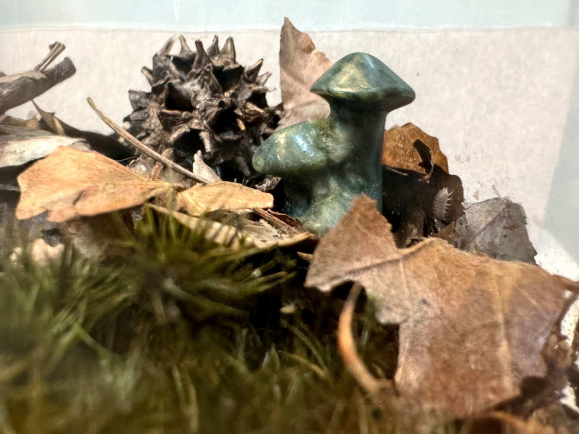 One of the dark green mushroom trios in a small-scale terrarium with moss, leaves, a sweet gum pod, and isopod.