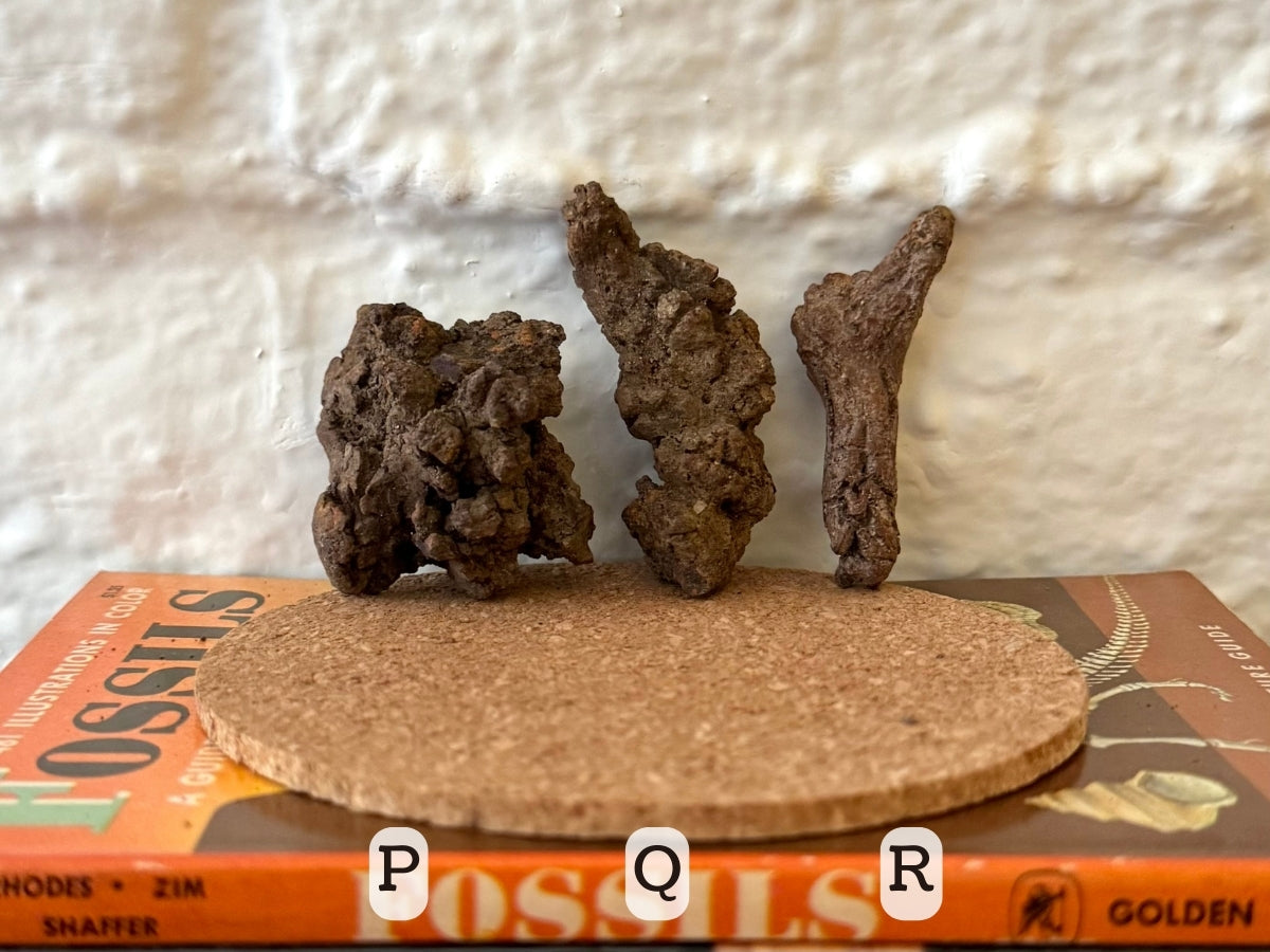 Options P–R, all brown. Option P is a squarish-shaped irregular lump. Q is a bumpy curved piece. R is long and thin with a slight bend, looking stretched.