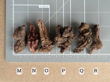 Scale image of options M through R on a measuring mat. All pieces are about two inches long, except O is a bit over two inches long.