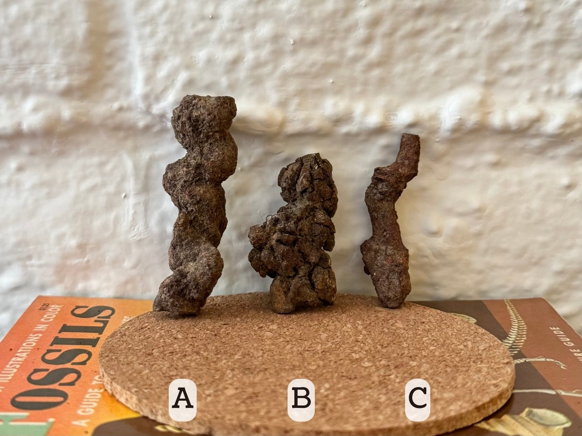 Options A–C, all brown. A is a lumpy sausage shape flat on each end. B is a stubby twisted piece. C is a long skinny crooked piece.