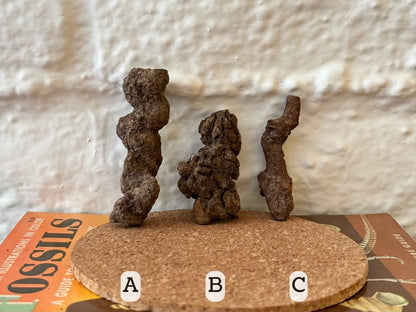 Options A–C, all brown. A is a lumpy sausage shape flat on each end. B is a stubby twisted piece. C is a long skinny crooked piece.