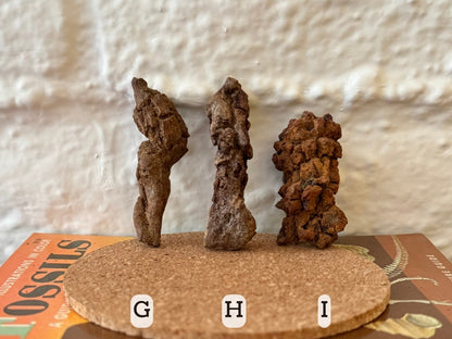 Options G–I, G and H are brown and I is orange-brown. G Is long and tapered, with both ends coming to a point. H is a long irregularly-shaped piece. I is a thick, short piece with heavily crackle texture.