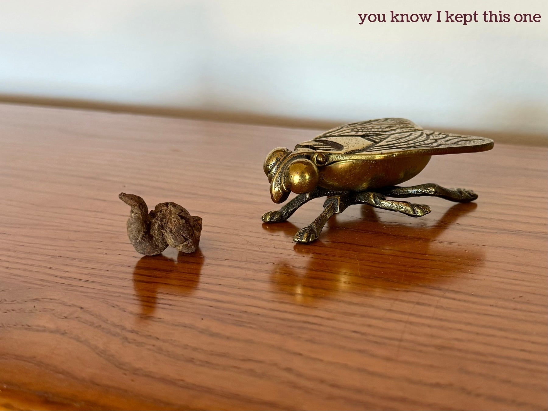 An extra small coprolite on a wood shelf, with a gold fly figurine to the right. The coprolite is a well-formed soft-serve shape. A caption reads "you know I kept this one"